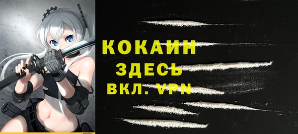 гашик Алексин