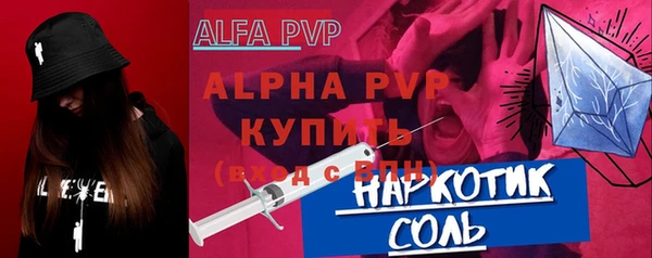 гашик Алексин