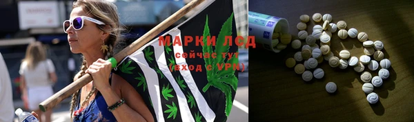 дживик Алзамай