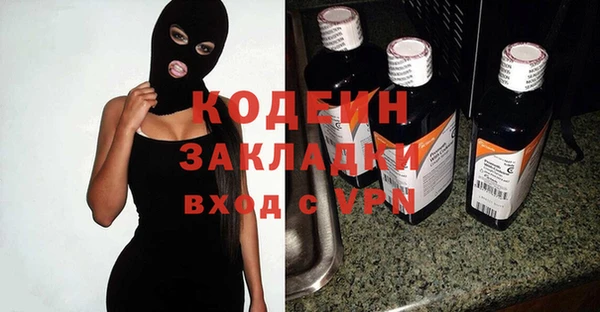 гашик Алексин